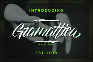 Discover the Charm of Gramattica: A Modern Script Font