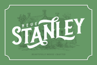 Discovering Neue Stanley: A Versatile Serif Font for Branding