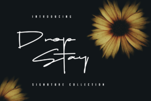 Drop Stay Font Review for Authentic Campaign Design