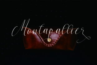 Elevate Your Editorial Design with Montapallier Script