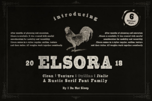 Enhance Your Brand with Elsora: A Versatile Sans Serif Font